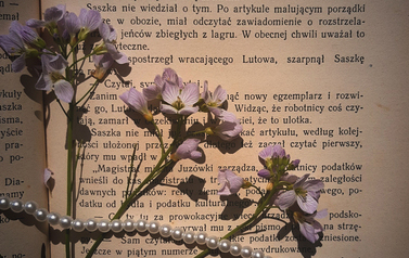 MAJA_KRZYWDA_2