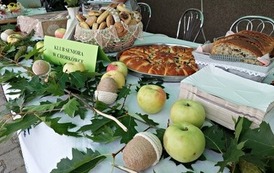 303277612_759890584982530_4071348083640715016_n