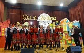 Występ "Chorkowian" w Niedźwiadzie 15