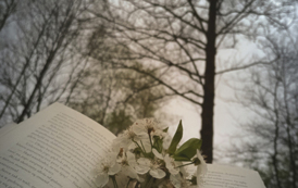 Im_MARIKA_PYTER