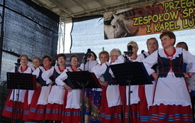 Przegląd Zespoł&oacute;w Śpiewaczych w Kopytowej 54