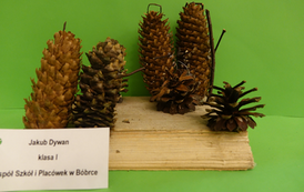 Konkurs szopek bożonarodzeniowych 14